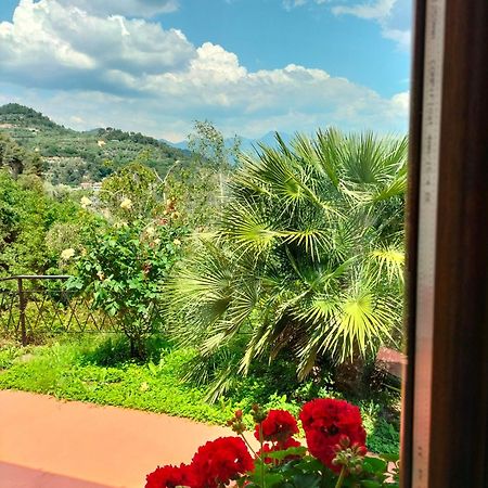 Casa Magnolia Διαμέρισμα Camporosso  Εξωτερικό φωτογραφία